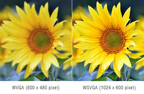 WVGA(800x480pixel) WSVGA(1024x600pixel)