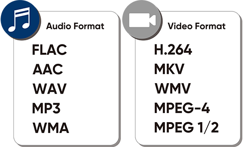Audio Format Video Format